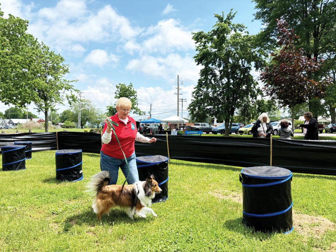 Dog Ruff Day Diamonds in the Ruff: Dog Days in May earns round of a-paws from canine ...